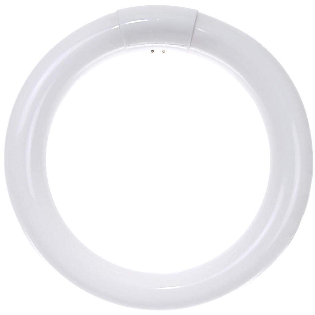Sunlite 05027 - FC8T9/CW Circular T9 Fluorescent Tube Light Bulb
