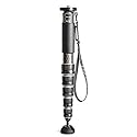 Gitzo GM4562 Professional Photography Monopod, Series 4, 6 Sections, for DSLR and Reflex Cameras, Camcorders, Video Cameras, in Carbon Fibre, Holds up