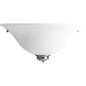 Progress Lighting 1-Light Incandescent Wall Sconce, Indoor, P7153-09W, Brushed Nickel
