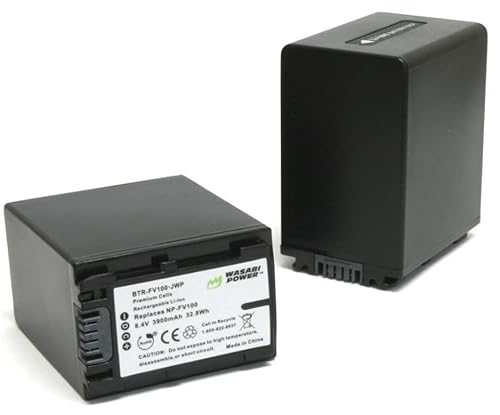 Wasabi Power Battery for Sony NP-FV100 (3900mAh, 2-Pack)