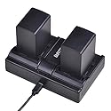 Batmax 2Pcs 2900mAh BP-828 Battery + Rapid LCD Dual Charger for Canon VIXIA HF G50, HF G60, HF G70, XA15, XA20, XA25, XA60, XA65, XA70, XA75,XA40