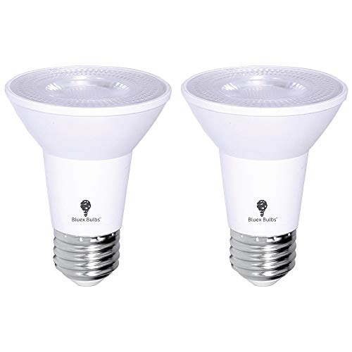 2 Pack PAR20 Outdoor LED Flood Light Bulb 8W 75 Watt Equivalent 500 Lumens Dimmable Waterproof E26 3000K Warm White LED Flood Light Bulbs for Security
