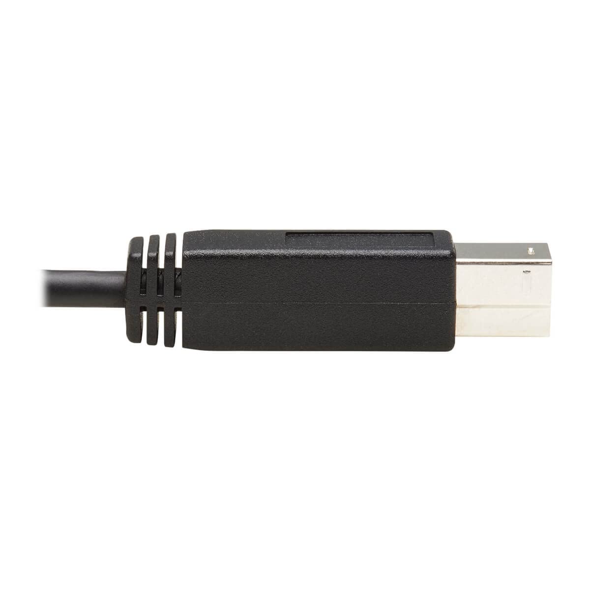 Tripp Lite USB C to USB Type B Cable USB Type C 3.1 Gen 2, 10 Gbps M/20In (U422-20N-G2)
