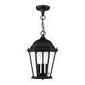 Livex Lighting 7564-14 Hamilton 3 Light Outdoor Chain Hang, Black,Black Lighting, 0.1 x 0.1 x 14