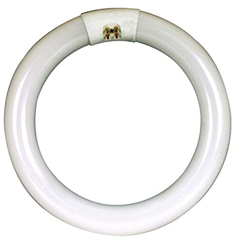 Circle White Fluorescent, 32 Watt