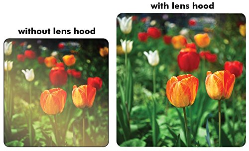 62MM UV Filter + 62mm Tulip Lens Hood for Tamron AF 28-200mm F/3.8-5.6 XR Di Aspherical (IF) Macro, 62 mm Ultraviolet Filter & 62 mm Lens Hood