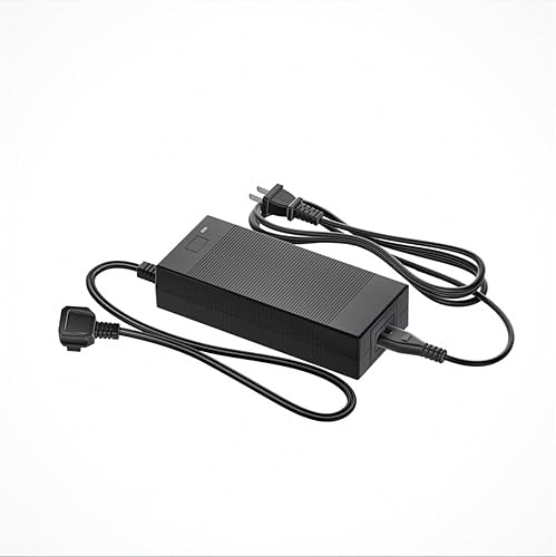 Litheli FrozenPack Exclusive AC Adapter for Portable Refrigerator