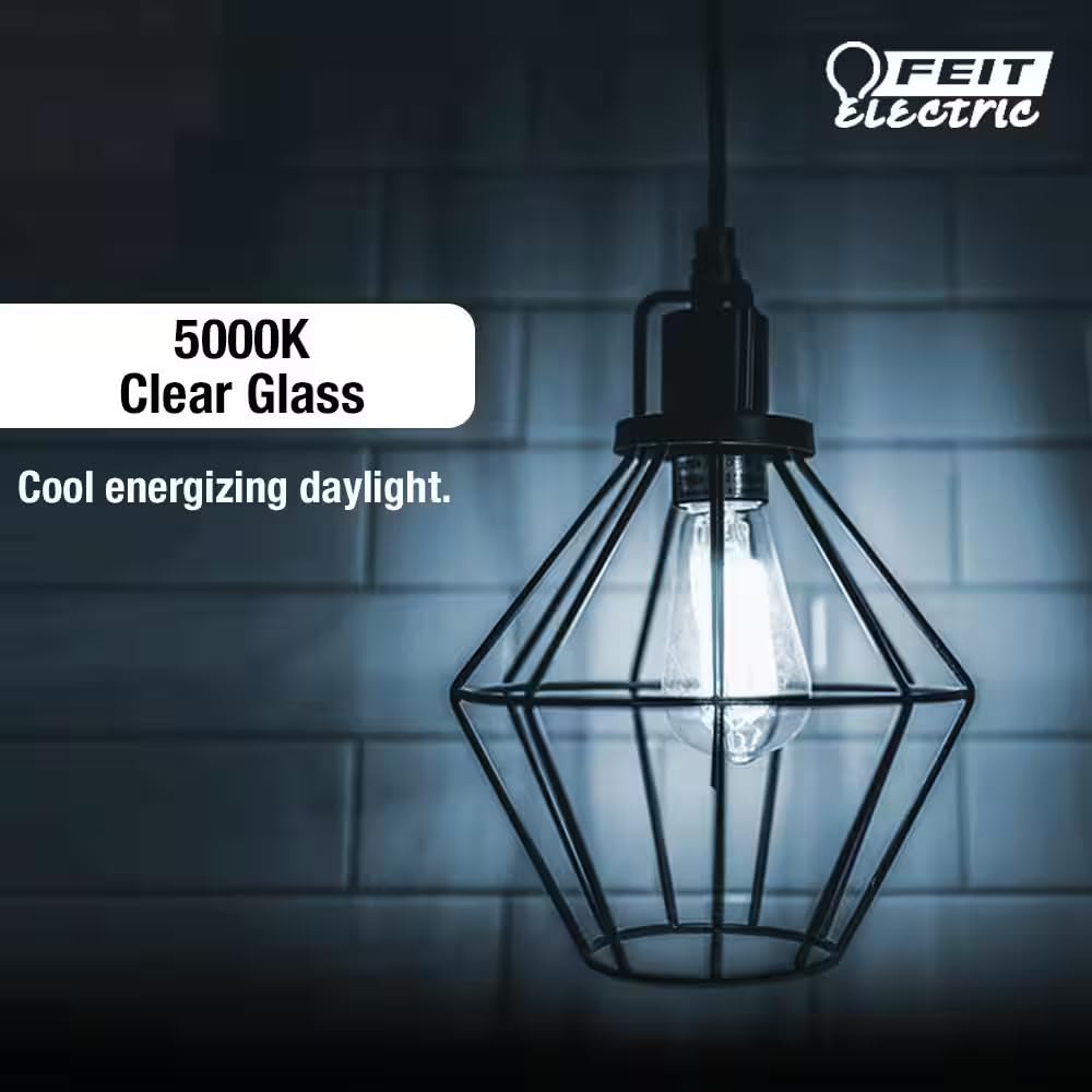 Feit Electric 100-Watt Equivalent ST19 Dimmable Straight Filament Clear Glass E26 Vintage Edison LED Light Bulb, Daylight (4-Pack)