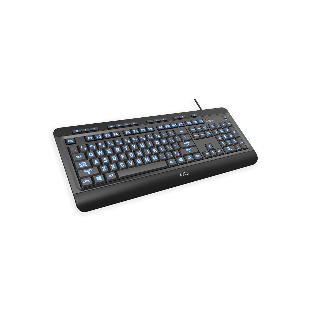 Azio Large Print Keyboard - USB Computer Keyboard with 3 Interchangeable Backlight Colors (KB505U-LN)