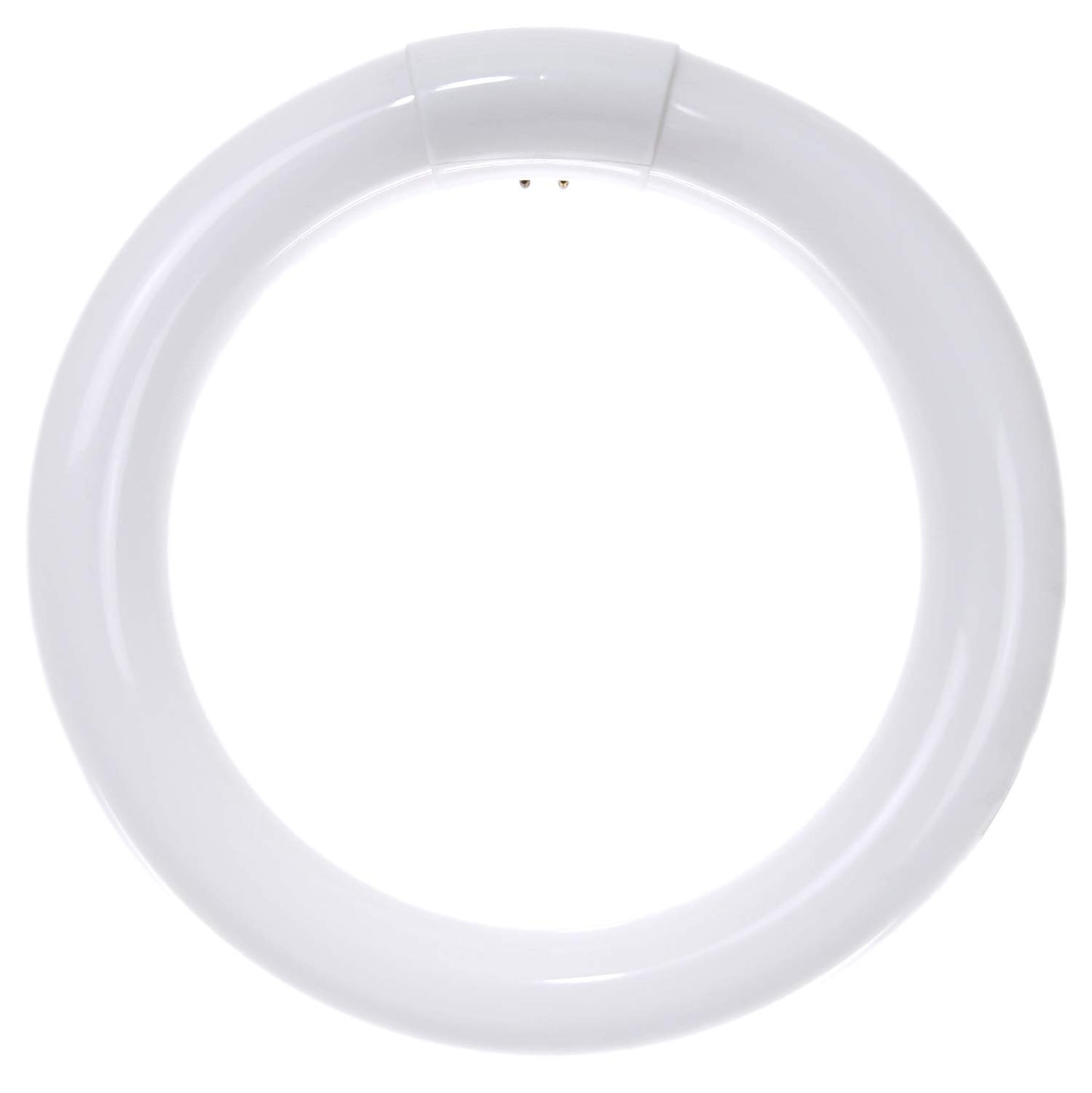 Sunlite 41316 FC8T9/CW 8-Inch T9 Round Fluorescent Circline Lamp, 22 Watts, 1250 Lumens, 4100K Cool White, G10Q 4-Pin Base, 1 Pack