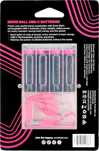 Ernie Ball USB-C Rechargeable AA Battery by Paleblue - 4-Pack