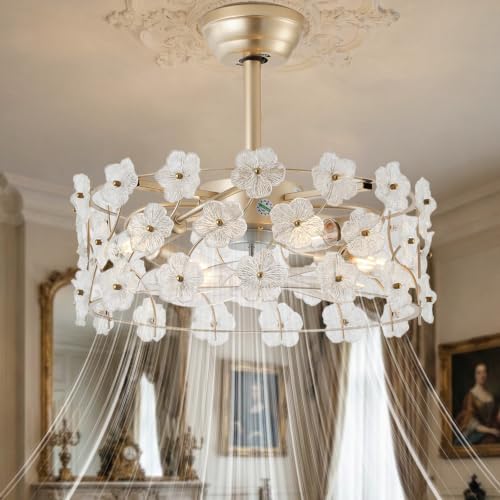 jorbeca 20" Flower Gold Crystal Fandelier Ceiling Fans with Lights Caged