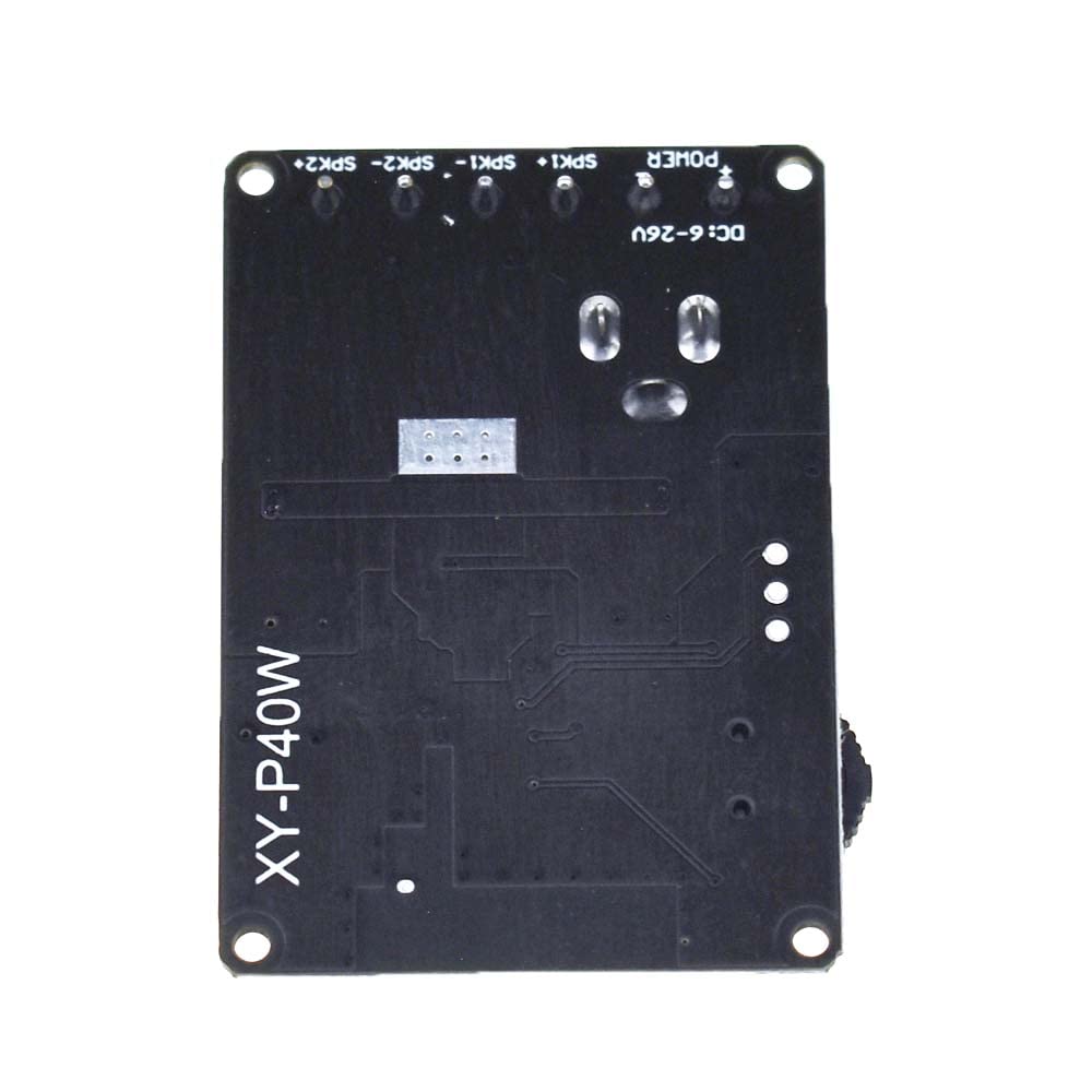 Reland Sun XY-P40W 30W 40W Stereo Power Amplifier Board 12V 24V (XY-P40W bare board)