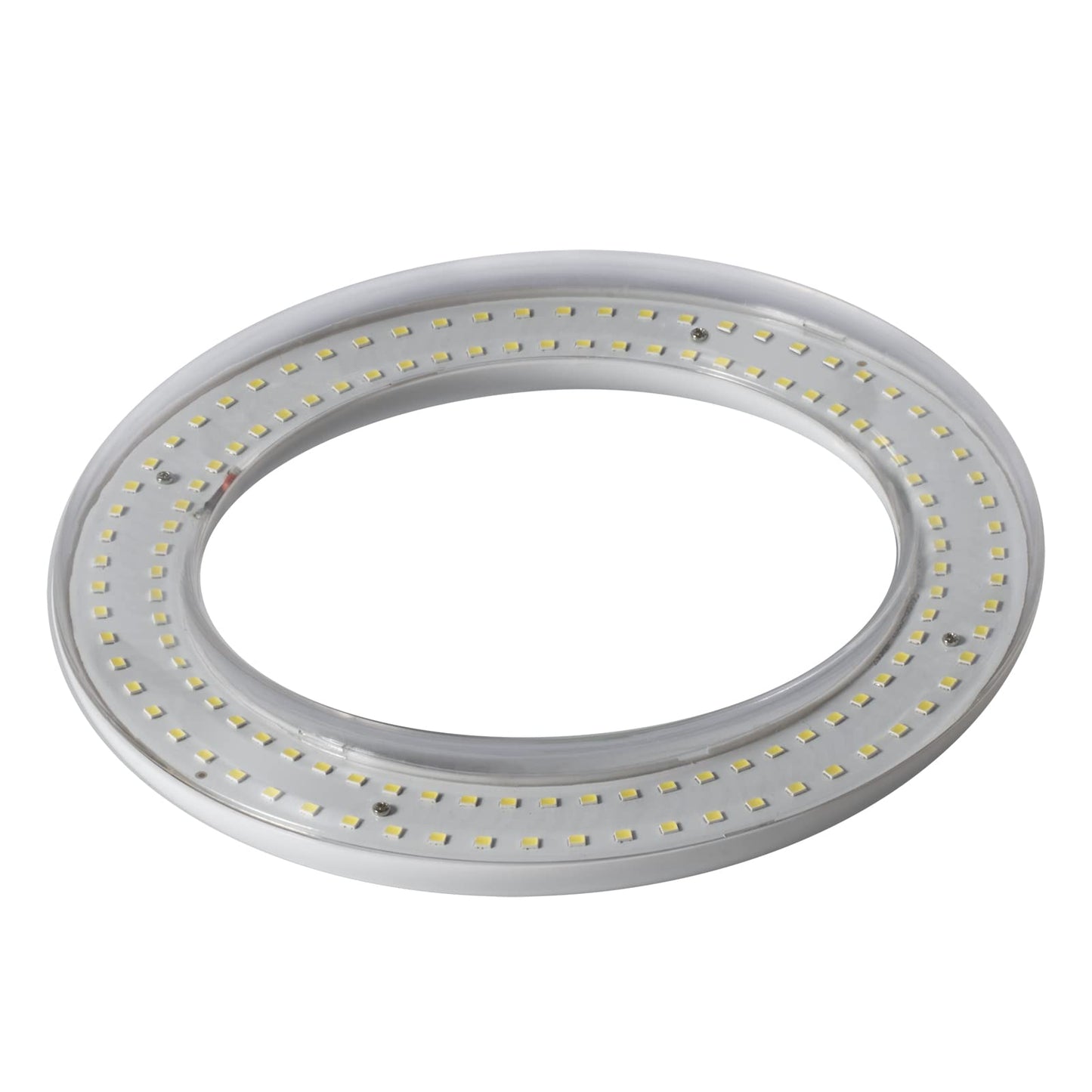 Hyintell T9 LED Circline Light Bulb, 8 Inch 1700LM LED Circular Light, 12W Clear Cover 6500K Daylight Replacement for FC8T9/CW 22-Watt Fluorescent