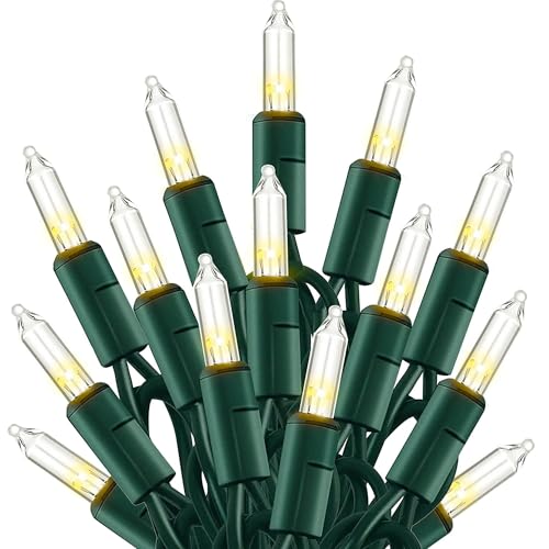 TW SHINE Warm White Christmas Lights Outdoor, 20FT 100 Count Incandescent Christmas Light Indoor, Waterproof Christmas Tree String Lights for Xmas