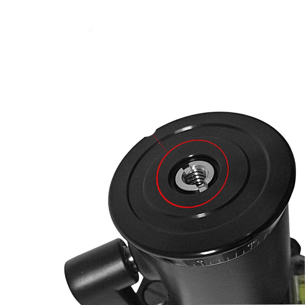 3/8" to 1/4" Tripod Ballhead Reducer Bushing Convert Screw Adapter,1/4" to 3/8" Tripod Ballhead Camera Convert Screw Adapter Mount for Tripod Monopod