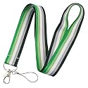 Pinstant Aromantic Asexual LGBTQ Pride Flag Gay Lesbian 17.7" Neck Lanyard Keychain Holder ID Badge Mobile Phone Pin Strap