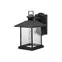 Hampton Bay 1000 001 784 Lumsden Wall-Mount Outdoor Black Led Motion Sensor Lantern
