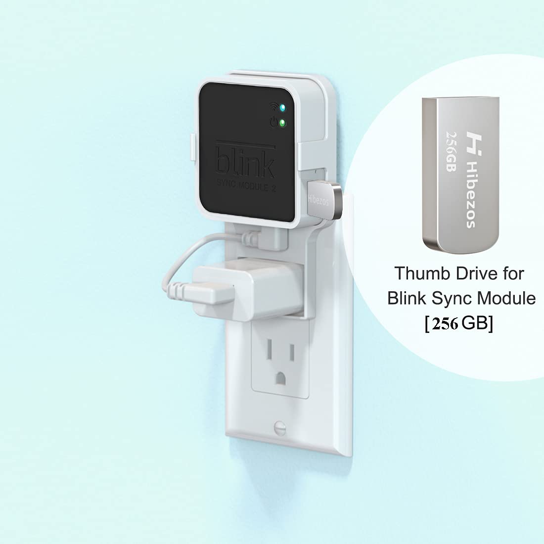 256GB USB Flash Drive and Outlet Mount for Blink Sync Module 2, Save Space and Easy Move Mount Bracket Holder for Blink Outdoor Indoor Security System