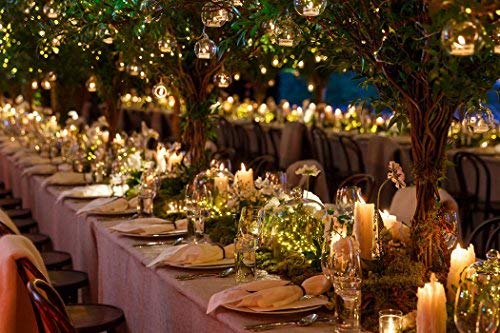Dailyart 6feet 120 LED Starry Lights, Battery Operated Waterproof Dark Green Copper Wire Fairy Light String Light for Garland, Wreath, Patio, Garden