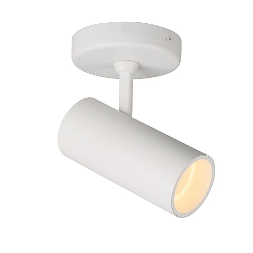 Aisilan LED Modern Directional Dimmable Spotlight Adjustable 90 Degrees Anti Glare Ceiling Spot Light for Indoor Foyer Living Room Warm White White 9W