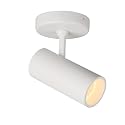Aisilan LED Modern Directional Dimmable Spotlight Adjustable 90 Degrees Anti Glare Ceiling Spot Light for Indoor Foyer Living Room Warm White White 9W