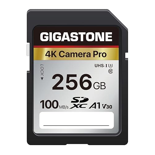 ?5-Years Data Recovery? GIGASTONE 256GB SD Card, 4K Camera Pro, A1 V30 SDXC Memory Card 4K UHD Video Compatible with Canon Digital Camera, with 1 Mini