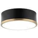 RecPro RV Wall Sconce Light | 12V LED Interior Light Fixture | Satin Black & Gold | Modern Round Globe Design | 3500K Neutral White | Non-Dimmable