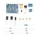 DIY Kit 20W Mono Channel HiFi Audio Power Amplifier Board for Home Hotel