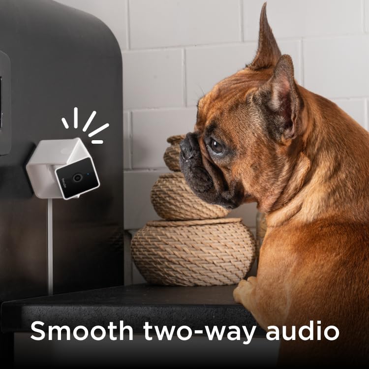 Petcube Cam Pack of 3 Indoor Home Security Cameras with 1080p HD Video, 2-Way Audio, Motion Detection, and Phone App, Night Vision Wi-Fi Camera