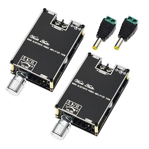 YOURRYONG US 2pcs 100W Audio Amplifier Module