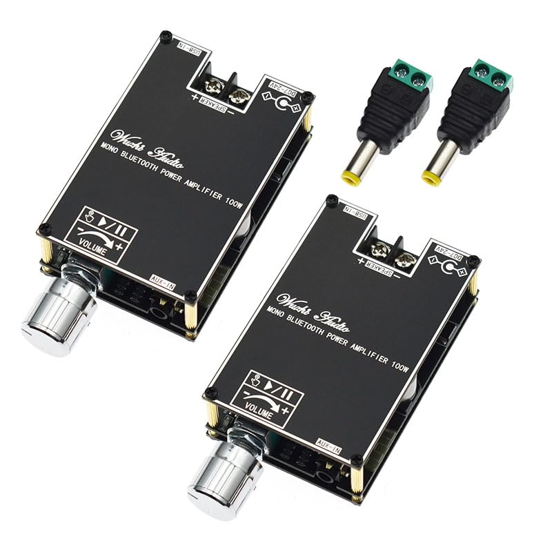 YOURRYONG US 2pcs 100W Audio Amplifier Module