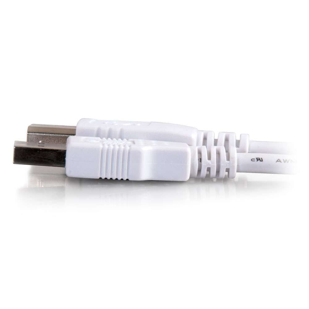Cables To Go 13401 USB 2.0 A Male to B Male Cable, White (15 Feet)