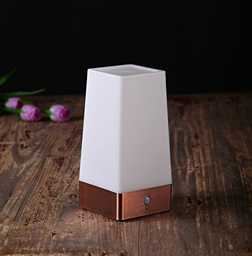ZEEFO Motion Sensor LED Night Light 3 Modes Battery Powered LED Table Lamp,Sensitive Lights Stairway Bedroom/Bathroom Hallway Emergency Camping Lamp