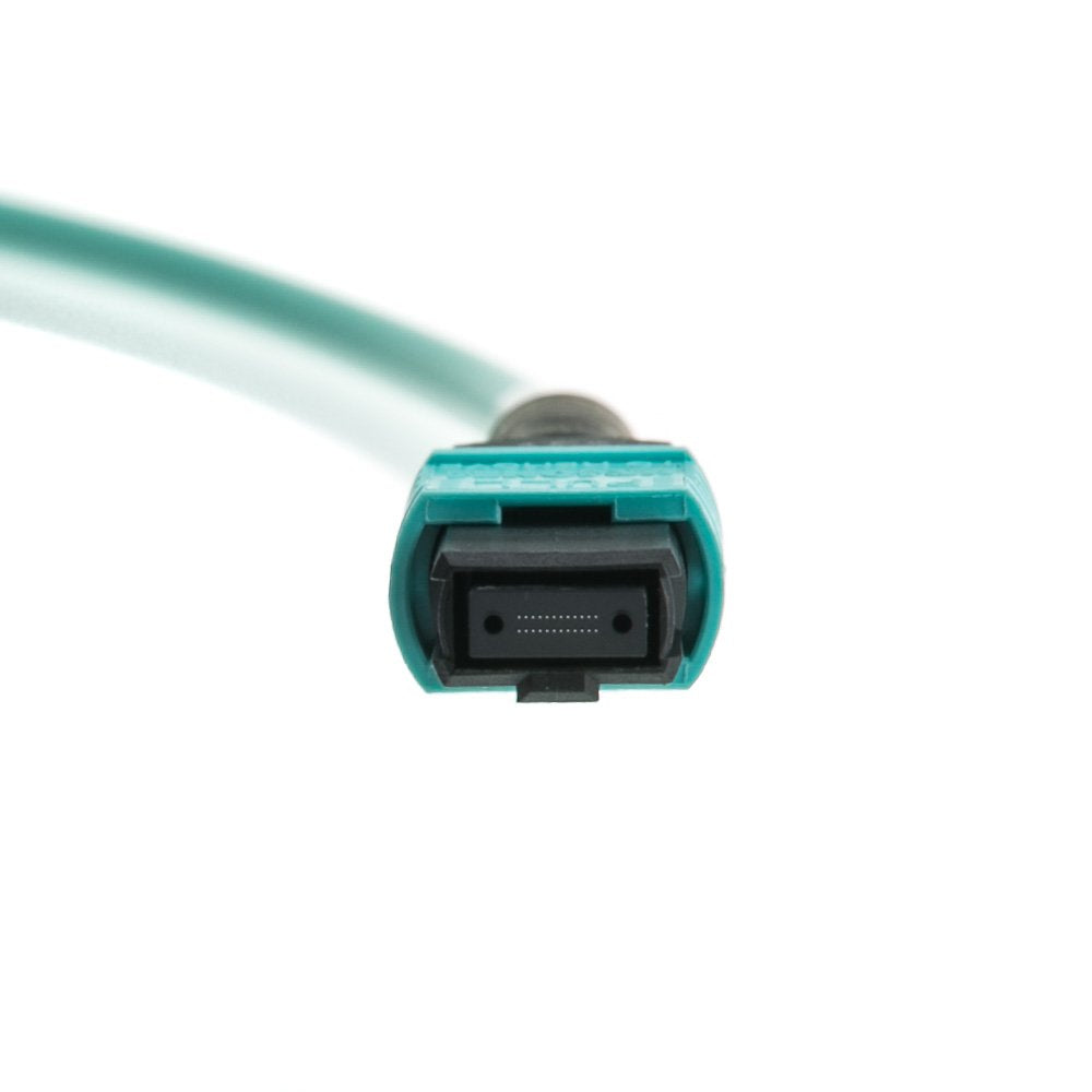 CableWholesale 12-Strand MTP/MPO OM4 Plenum Trunk Cable, Type B, 8m/26.94ft
