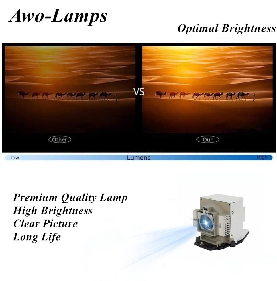 AWO 5J.J4N05.001/5J.J6N05.001/5J.J3J05.001/5J.J0405.001 Replacement Lamp Bulb with Housing for BenQ