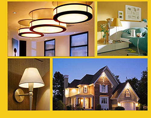 WingYauLung E14 LED Bulb Cooker Hood Bulb E14 Chandelier Light Bulb 120V Replace Salt lamp,Home Lighting, Kitchens Lighting 4W(40W Halogen Equivalent)