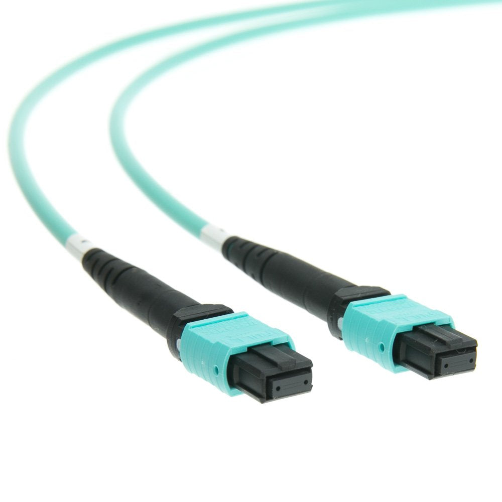 CableWholesale 12-Strand MTP/MPO OM4 Plenum Trunk Cable, Type B, 5m/16.4ft