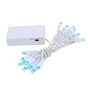 Novelty Lights Battery Operated LED Mini Lights 8 Feet, 20 Count Blue Fairy Lights on White Wire, On/Off & Flashing Modes, Indoor/Outdoor Use, 3X AA