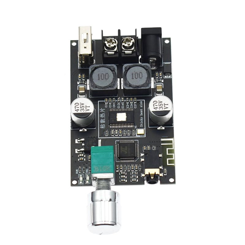 YOURRYONG US 2pcs 100W Audio Amplifier Module