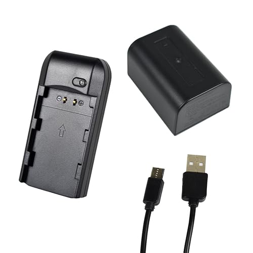 KOQINVIZ NP-FV5 Plus Battery Charger + Rechargeable Lithium Battery - Video Camera Camcorder Battery for CAS. NP-FV5 Plus 3.7V 2000mAh with Travel