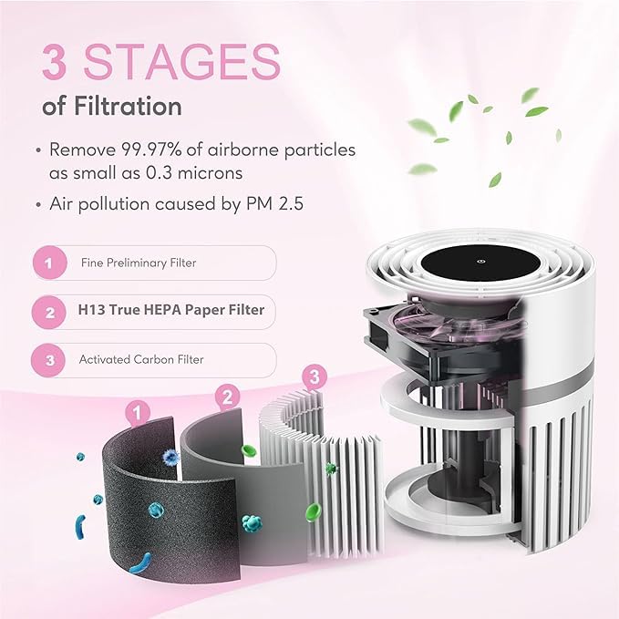 MEGAWISE EP1810 Air Purifier with Genuine HEPA Filter, Covers up to 215 sq ft, Designed for Dust, Pet Dander, and Odors