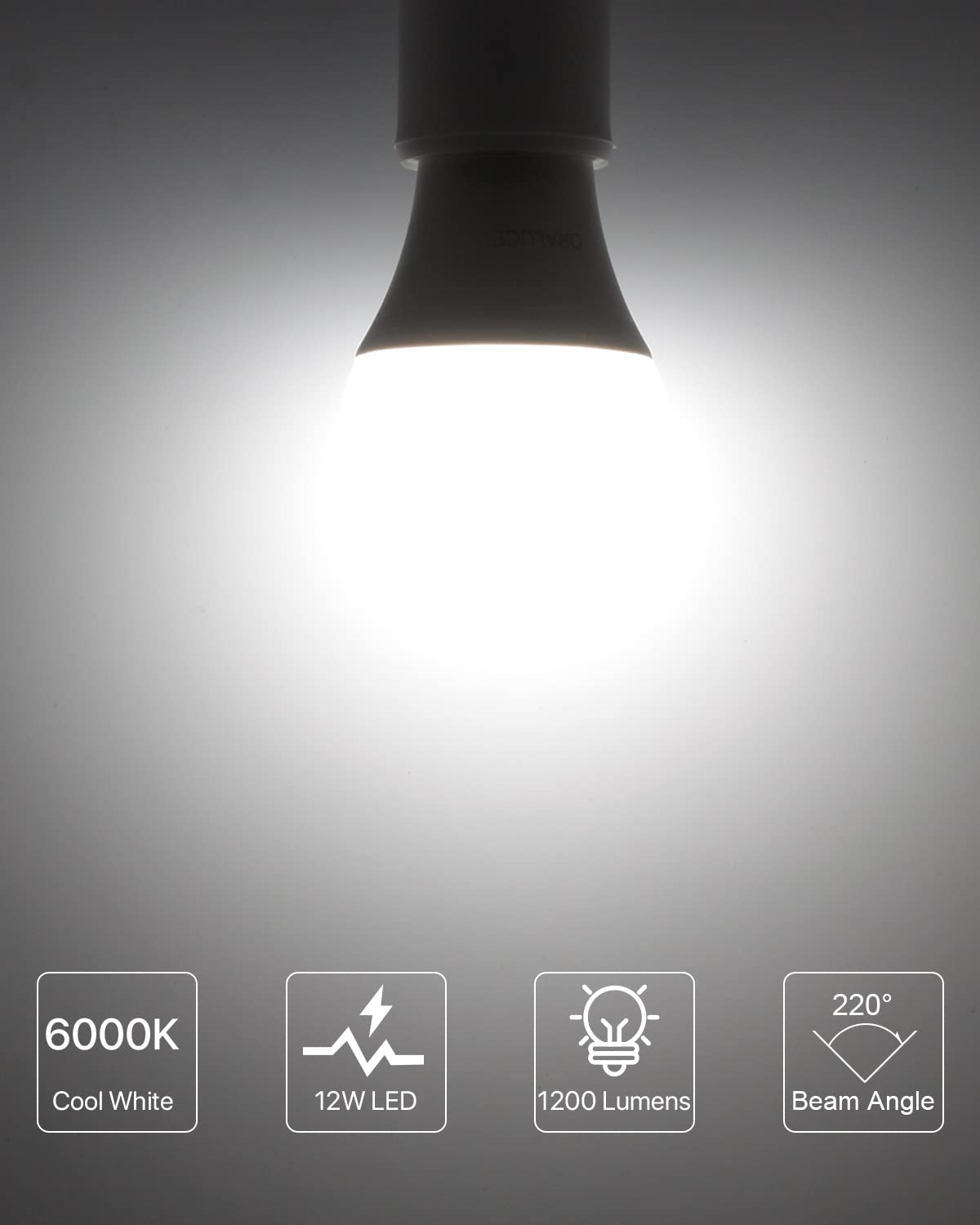 LUTW A19 E26 LED Bulbs, 100W Eqv, 12W, 6000K, Non-Dimmable, 6 Pack