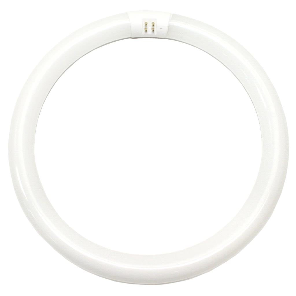 Philips 262600 - FC12T9/Daylight Deluxe Circular T9 Fluorescent Tube Light Bulb
