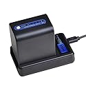 PowerTrust 1Pack 5400mAh NP-QM91D QM91D Battery and LCD USB Charger for Sony NP-QM71D NPQM91D NP-FM50 NP-QM71 NP-FM70 NP-FM90 CCD-TRV328 338