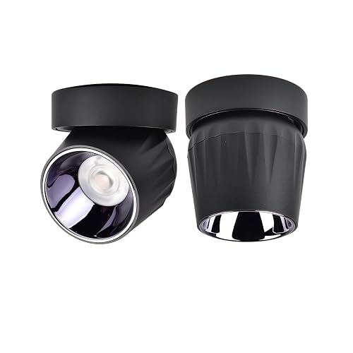 Vrnzau LED Ceiling Spotlight 12W - Directional Spot Light 360° Rotate / 3000K / Warm White/Wall Lamp Ceiling Spotlight for Hallway Gallery Display