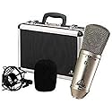 Behringer B-1 Gold-Sputtered Large-Diaphragm Studio Condenser Microphone