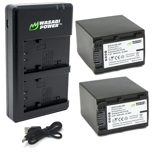 Wasabi Power Battery (2-Pack) and USB Dual Charger Compatible with Sony NP-FV100 and DCR-SR15, DCR-SX45, FDR-AX100, HDR-CX105, HC9, PJ30V, TD20V