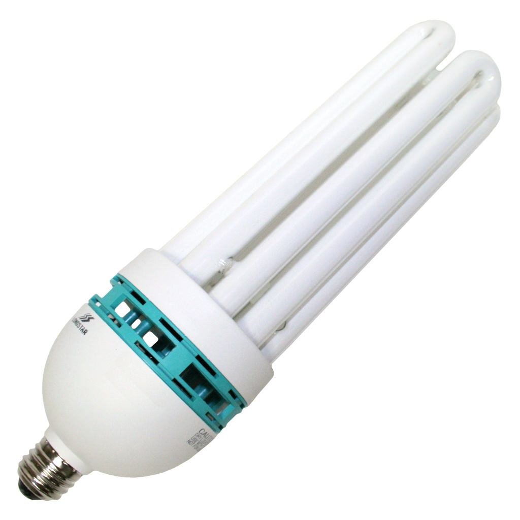 LongStar 00036 - FE-IIIB-85W/50K 5 8 Tube Screw Base Compact Fluorescent Light Bulb