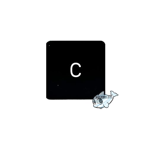 Dolphin.dyl(TM) Replacement Individual Key Cap for US MacBook Pro A1706 A1707 A1708 Key Keyboard(Key Cap Only) (C)